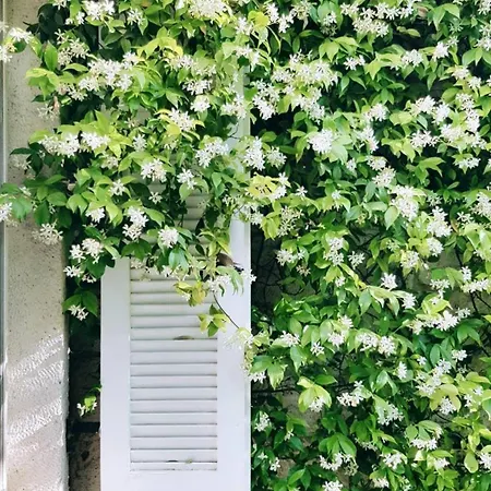 Hotel Peremere Alaçatı